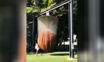 Lustiges Video : Die Duschkopf-Glocke