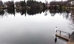 Lustiges Video - Morgens an einem finnischen See