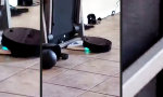 Movie : Roomba vergeht sich an der Körperwaage