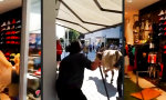 Lustiges Video - Sie benimmt sich wie die Kuh im Schuhladen