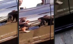 Funny Video - Willkommen in Australien!