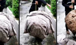 Lustiges Video : Mit Sicherheitssandalen kein Problem!