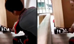 Movie : Der beste Freund des Möbelpackers