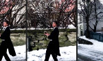 Lustiges Video : Bergab mit Style