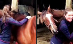Lustiges Video : 69 Backrub-Style