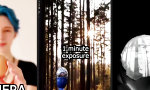 Lustiges Video : Die Eier-Cam