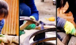 Movie : So wird n` Schuh draus