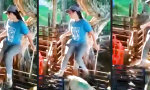 Lustiges Video : Schäfchenzählen, bei dem jeder wach bleibt