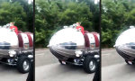 Funny Video : Freie Bahn mit Marzipan