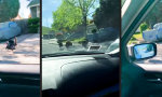 Funny Video - Schwätzchen unter Nachbarn