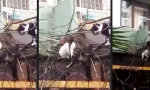 Funny Video : Challenge Accepted