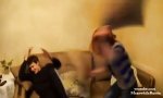 Lustiges Video : Aufruf zur Kissenschlacht