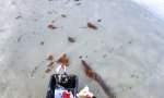 Wall-E macht sich nützlich am Strand