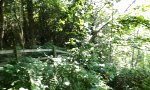 Funny Video : Glückspiel auf dem Wanderweg