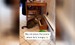 Movie : Pavlov in Reverse