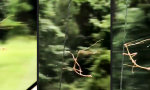Lustiges Video : Wenn pures Adrenalin durch deine Adern fließt