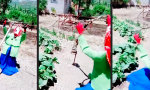 Funny Video : Garantiert vogelfreie Zone