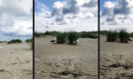 Movie : Die 3 Amstrandsdamen