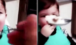 Lustiges Video : Mit dem Essen spielt man nicht!