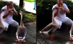 Lustiges Video - Der Gänsefänger von Ham Len Xin