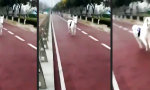 Funny Video : Straßenfeger macht ernst