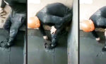 Bis in die letzte Ecke