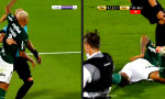 Funny Video : Fairplay schafft Freundschaften