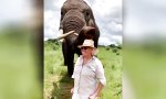 Funny Video - Hokus Pokus Verschwindibus