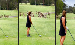 Funny Video : Sprunghaftes Publikum