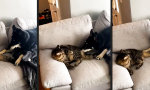 Funny Video : Kleiner Miesepeter