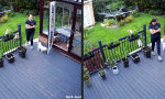 Funny Video - Schichtwechsel
