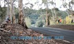 Funny Video : Nah dran und mittendrin