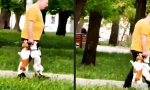 Funny Video - Hundepark-taugliche Tragetasche