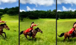 Lustiges Video - Mulan reitet weiter