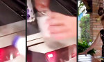 Lustiges Video : Wenn’s mal wieder schnell gehen muss