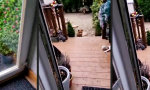 Funny Video - Figgse, Babba!