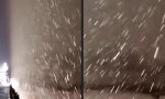 Funny Video : Niederschlagsreicher Bug in der Matrix