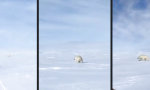 Funny Video : Das Schicksal eiskalt herausfordern
