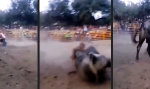 Funny Video - Wild wie ein Stier