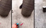 Movie : Knallige Luftfilterreinigung