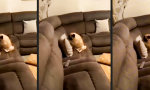 Lustiges Video : Mopsi Balboa