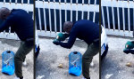 Lustiges Video : Der Vogelfänger bin ich ja