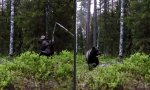 Funny Video - Hol dir den Bärenkick