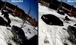 Mustang auf Mustang