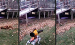 Funny Video : Die Zukunft ist laubfrei