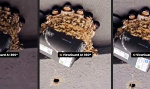 Lustiges Video - Viewguard 360° Rundumblick