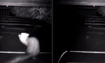 Lustiges Video : Sekundäre Funktion erkannt