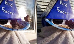 Funny Video : Die Invers-Vogelscheuche