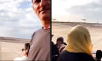 Lustiges Video : Wie gebratene Tauben