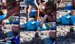 Funny Video : Langeweile am Strand kennt er nicht
